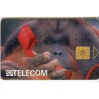 Telefon.karta/ČR/ č.89