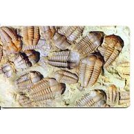 Telefon.karta/ČR/ č.94