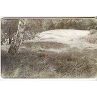 Telefon.karta/ČR/ č.97