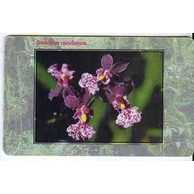 Telefon.karta/ČR/ č.131