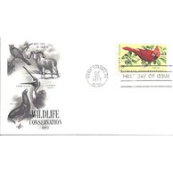 Obálky-Amerika č.555+556