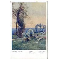 C 55838 - Jaroslav Šetelík - Nálady