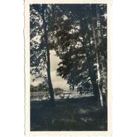 D 56313 - Poděbrady