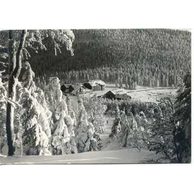 E 56660 - Jeseníky2