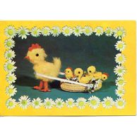 F 58100 - Velikonoce