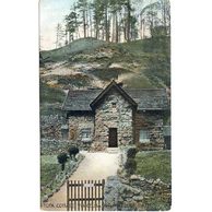 Ostatní cizina - 58224