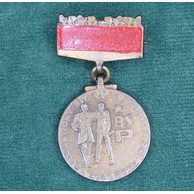 12975- BSP- Člen brigády soc.práce bronzový v etui
