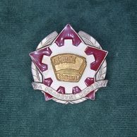 13139- SSM za pracovní úspěchy