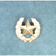 13192- Odznak