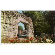 Ostatní cizina - 45219