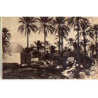 Ostatní cizina - 45268