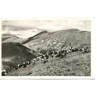 Nízké Tatry - 45956