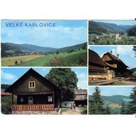 F 46090 - Velké Karlovice