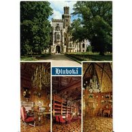 F 46540 - Hluboká nad Vltavou