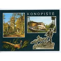 F 46847 - Konopiště
