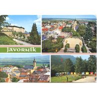 F 47261 - Javorník