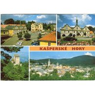 F 48993 - Kašperské Hory