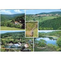 F 48994 - Kašperské Hory