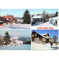 F 49349 - Staré Hamry