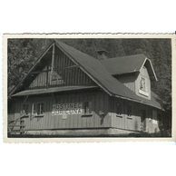 Ostatní cizina - 49962