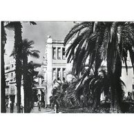 Ostatní cizina - 50106