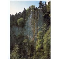 F 50545 - Moravský kras