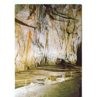 Jaskyňa Domica - 50600