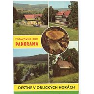 F 51645 - Deštné v Orlických horách