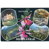 Ostatní cizina - 52404