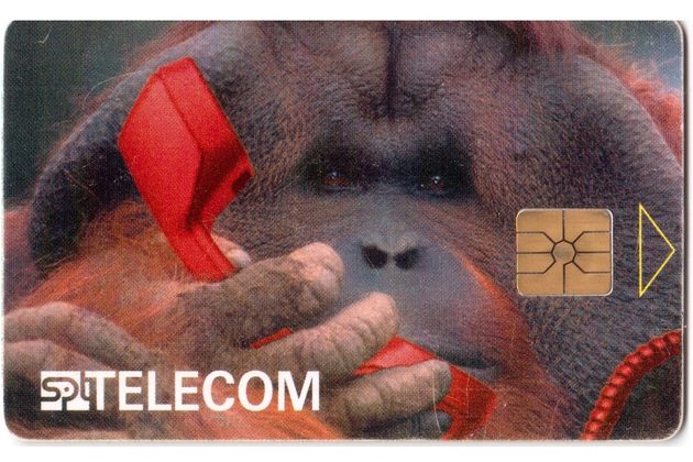 TK189 - Telefonní karta ČR Telecom - Orangutan (33/06.96/50)