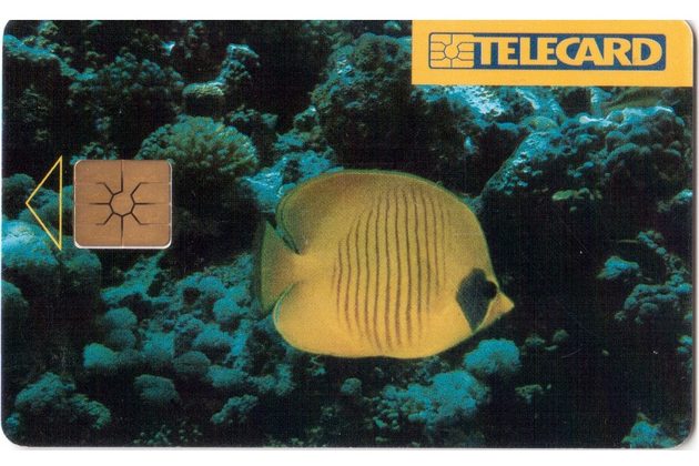 TK247 - Telefonní karta ČR Telecom - Chaetodon (78/10.96/100 190Kč)