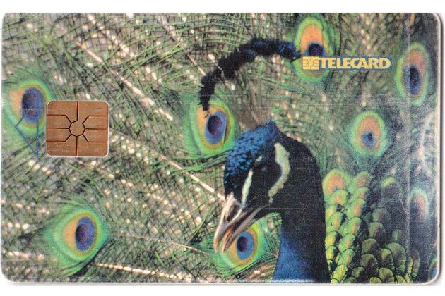 TK252 - Telefonní karta ČR Telecom - Páv (39/08.98/50 150Kč)