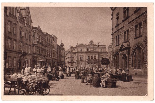 59088 - Opava  