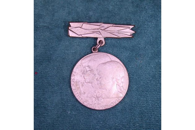 13299 - Za soc. výchovu