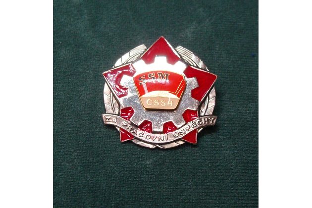 13323 - SSM Za pracovní úspěchy