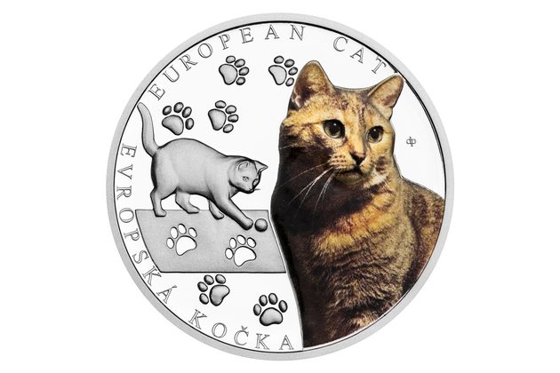 Stříbrná mince Plemena koček - Evropská kočka proof (ČM 2026) 