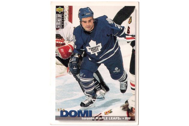 HK222 - Upper Deck karta - the Domi č. 242 (1995-96)