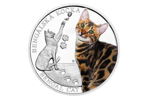 Stříbrná mince Plemena koček - Bengálská kočka proof (ČM 2025) 
