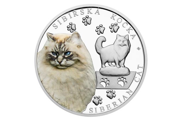 Stříbrná mince Plemena koček - Sibiřská kočka  proof (ČM 2026) 