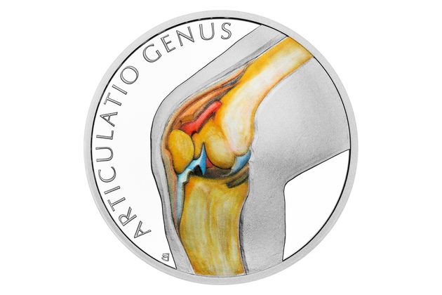 Stříbrná mince Lidské tělo - Kosterní soustava – Kolenní kloub proof (ČM 2025)