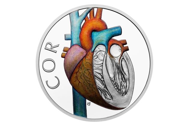 Stříbrná mince Lidské tělo - Oběhová soustava - Srdce proof (ČM 2026)