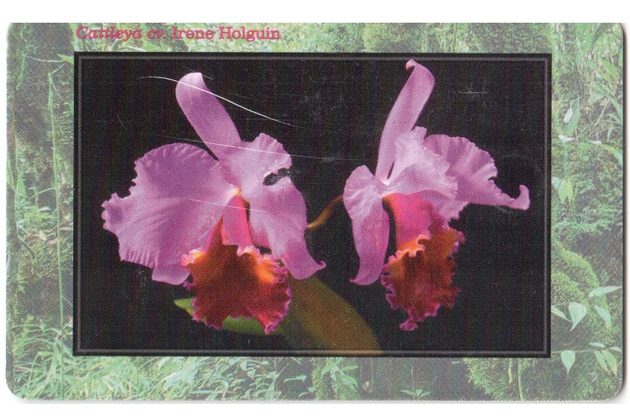 TK102 - Telefonní karta ČR Telecom - Orchidej Cattleya cv. Irene Holguin (04/01.98/50 200Kč)