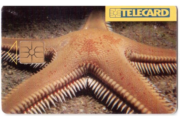 TK109 - Telefonní karta ČR Telecom - Hvězdice (12/04.97/50 150K)