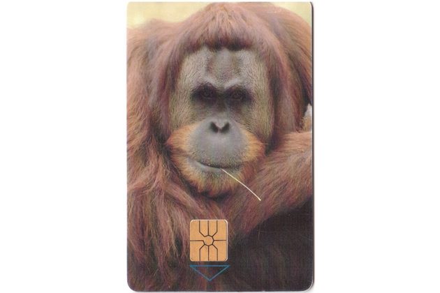 TK112 - Telefonní karta ČR Telecom - Orangutan (59/11.97/50 150Kč)