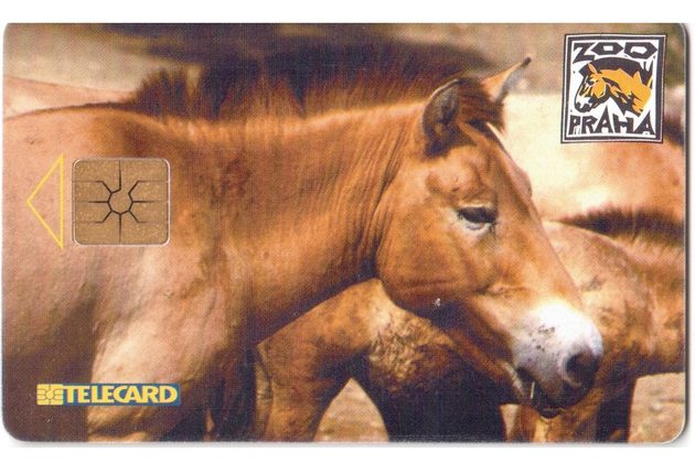 TK124 - Telefonní karta ČR Telecom - Kůň (02/01.99/50 200Kč)