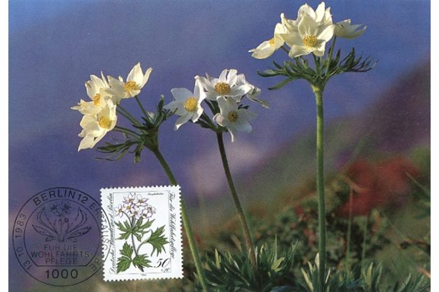 4/1983/Cartes Maximum/Berlín