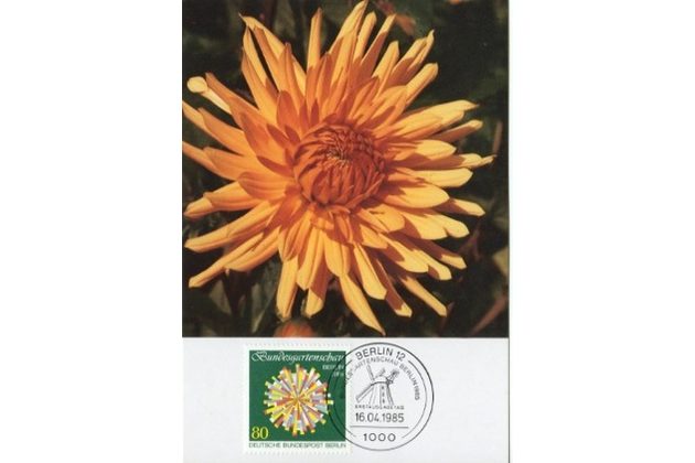 4/1985/Cartes Maximum/Berlín