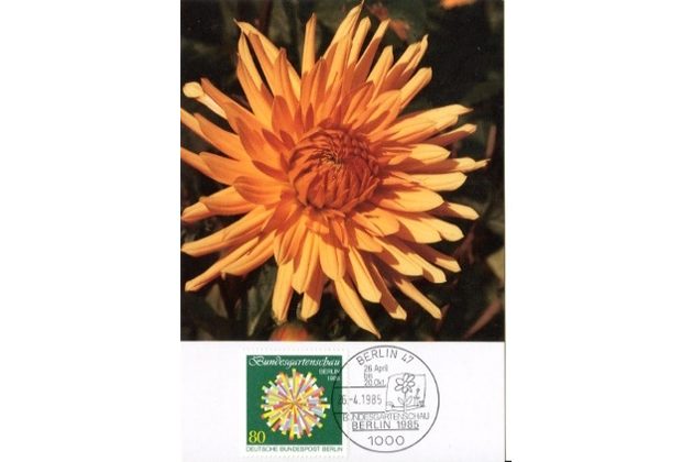 5/1985/Cartes Maximum/Berlín