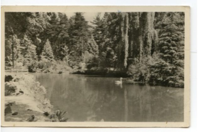 D 11738 - Rožnov pod Radhoštěm