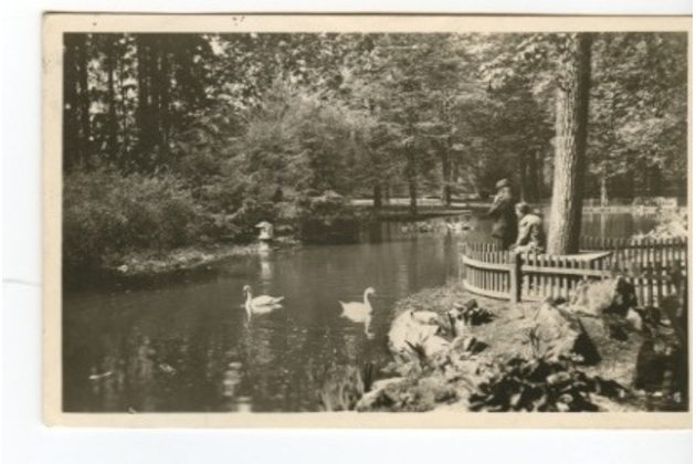 D 11748 - Rožnov pod Radhoštěm